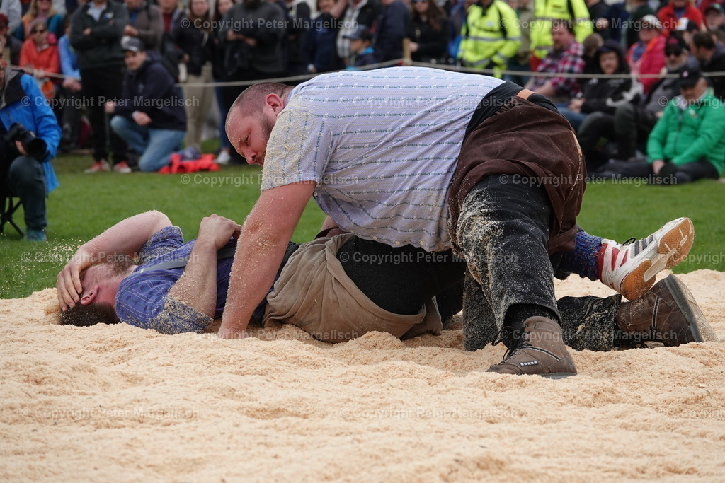 DSC03292 | Schwingen - Realisiert mit Pictrs.com