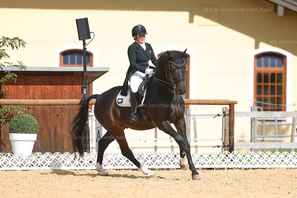09_2-183-DRESSUR  S_  -StoibPH-5896 | working equitationturnier fotograf videograf stoibphotography marixx film working equitation deutschland reitsport turnierfotografie eventfotografie equestrian events