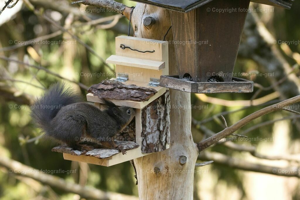 IMG_0628-LU | fotografie-graf - Realisiert mit Pictrs.com