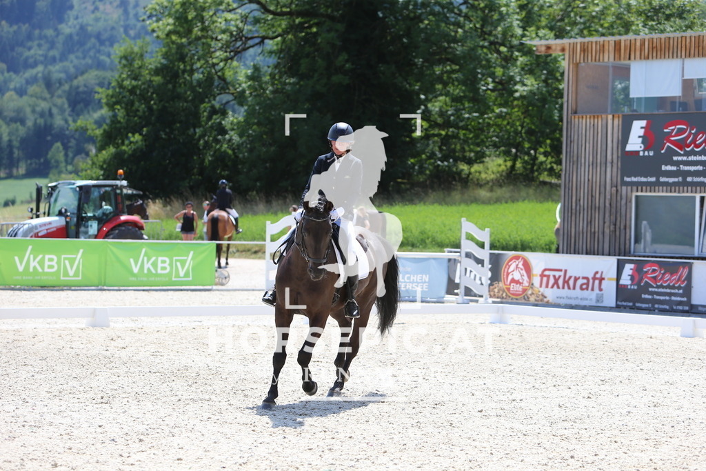 DL2Q9769 | Willkommen bei Brunnmayr - Design & Fotografie – Ihrem Spezialisten für Reitturniere und Pferdeveranstaltungen in Oberösterreich, Salzburg und Bayern! Seit über 17 Jahren sind wir leidenschaftlich dabei.