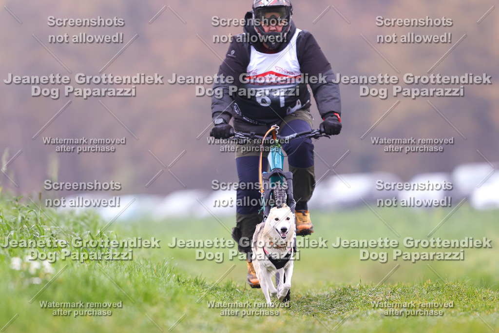 Dog Paparazzi - Visbeck 25 -243 | Dog Paparazzi Jeanette Grottendiek Fotografie & Videografie - Realisiert mit Pictrs.com