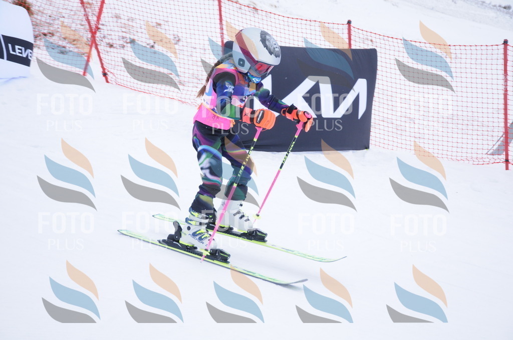 DSC_7849 | holidayphoto