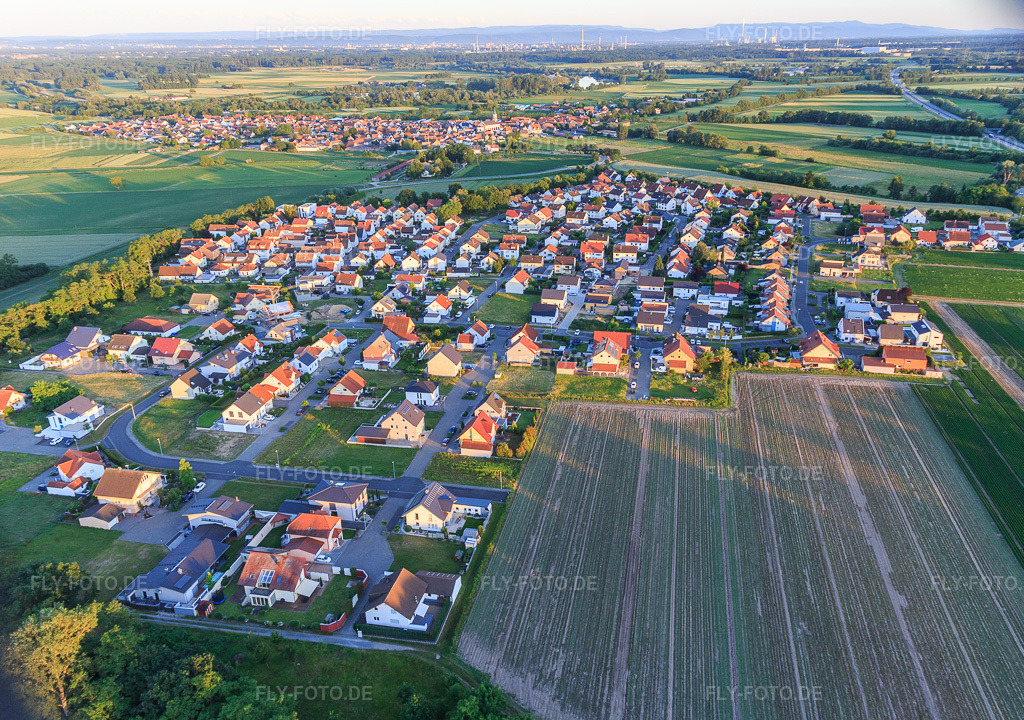 Luftbild: Ortsansicht aus Norden im Ortsteil Hardtwald in Neupotz im Bundesland Rheinland-Pfalz in Deutschland.Foto: IMG_115352.jpg vom 13.06.2019 durch Werner Riehm/FLY-FOTO.deAuflösung des Originals: 5064 x 3558 px