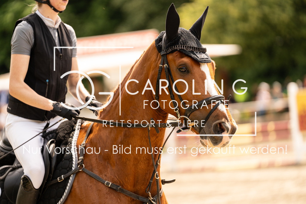 DSC02458 | Carolin Gieschke