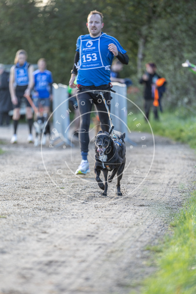 Pfotenfotografie.de_DV3A2704 | Hundefotografie, Tierfotograf, Pfotenfotografie, Fotoshooting Hund, Hunde Portrait, Hundesport, Hundeportraits, Heideshooting, Hunde, Sportfotograf, Hundefotograf, Turnierhundsport, THS, canicross - Realisiert mit Pictrs.com