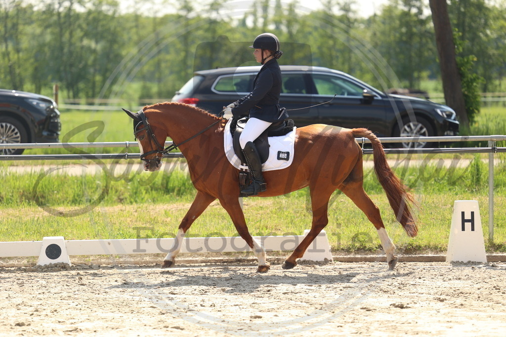 994A7312 | sabrinanicolaifotografie - Realisiert mit Pictrs.com