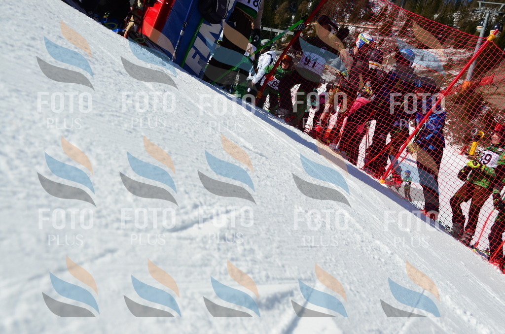 C5228 | holidayphoto