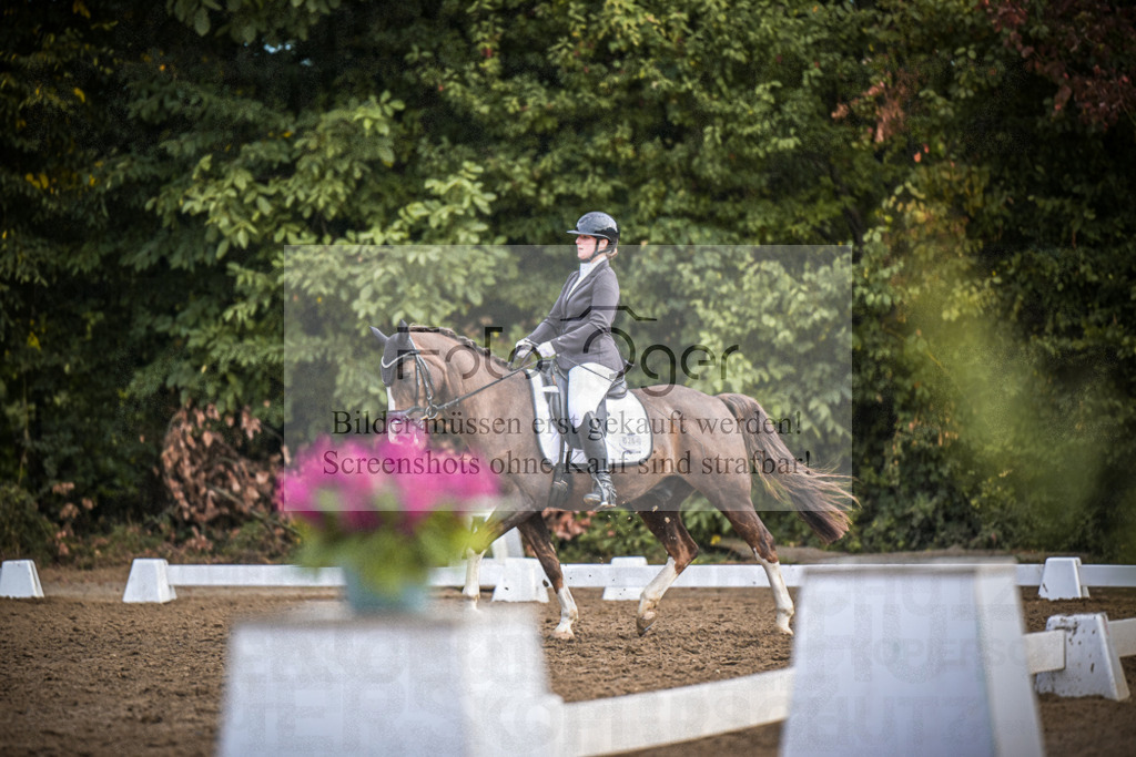 DOS_1934 | Entdecke hochwertige Reitturnierfotos von Foto Oger. Professionell, emotional und authentisch – jetzt Lieblingsmomente im Shop bestellen.Deutschlandweite Turnierfotografie. - Realisiert mit Pictrs.com