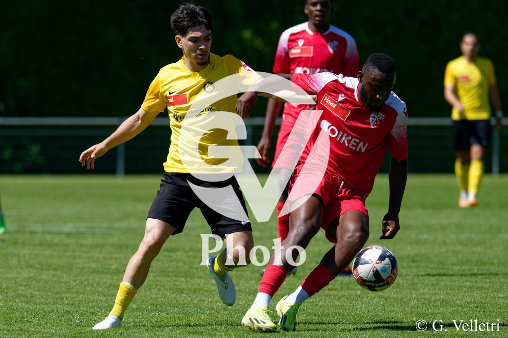 DSC_7408 | Velletri Photo