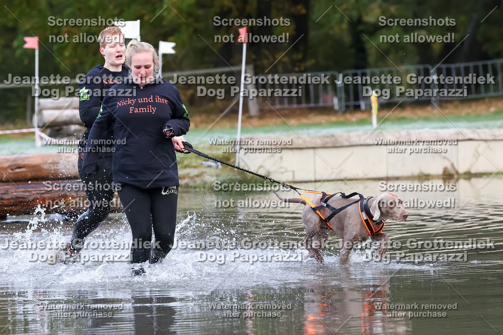 Dog Paparazzi - Strongdog 10-25-6143 | Dog Paparazzi Jeanette Grottendiek Fotografie & Videografie - Realisiert mit Pictrs.com