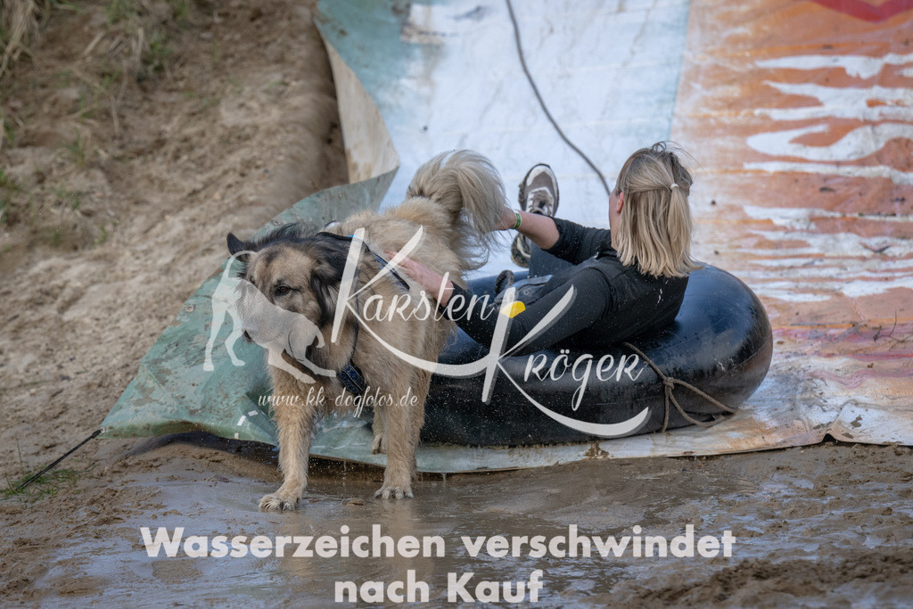 1042_ZZ91398 | kk-dogfotos