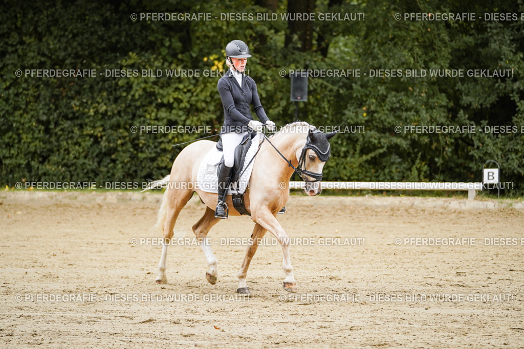 DSC08616 | Pferdegrafie