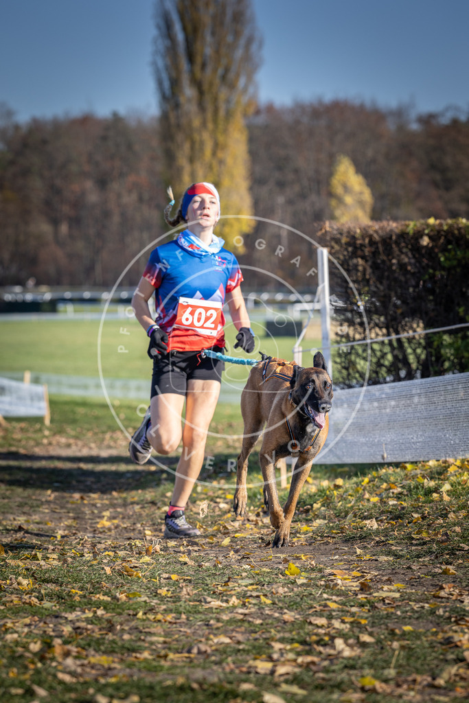 CaniXpix_DV3A9529 | Hundefotografie, Tierfotograf, Pfotenfotografie, Fotoshooting Hund, Hunde Portrait, Hundesport, Hundeportraits, Heideshooting, Hunde, Sportfotograf, Hundefotograf, Turnierhundsport, THS,  - Realisiert mit Pictrs.com