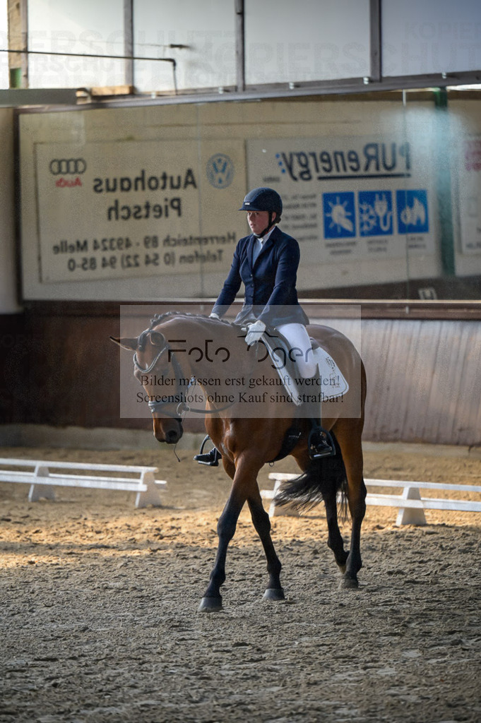 Reitturnier Voxtrup | Entdecke hochwertige Reitturnierfotos von Foto Oger. Professionell, emotional und authentisch – jetzt Lieblingsmomente im Shop bestellen.Deutschlandweite Turnierfotografie. - Realisiert mit Pictrs.com
