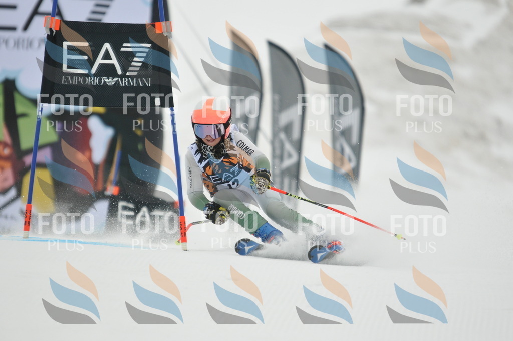 DSC_7392 | holidayphoto