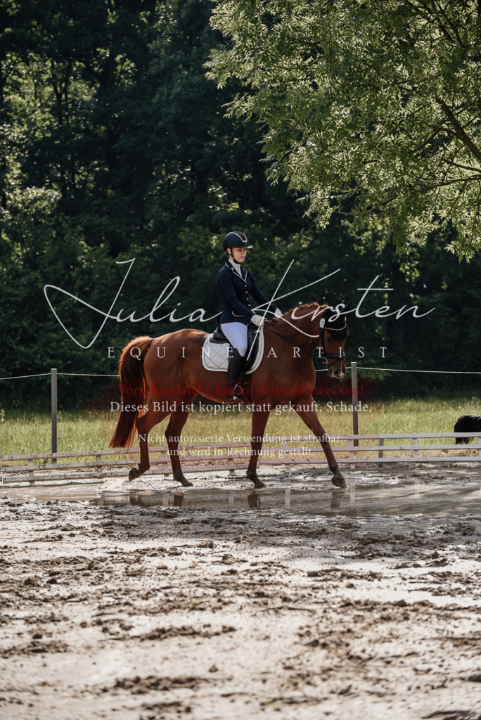 DSC_8853 | Pferde- und Turnierfotografie in Westsachsen. Pferdeportraits, Auftragszeichnungen und intuitive Kunst.