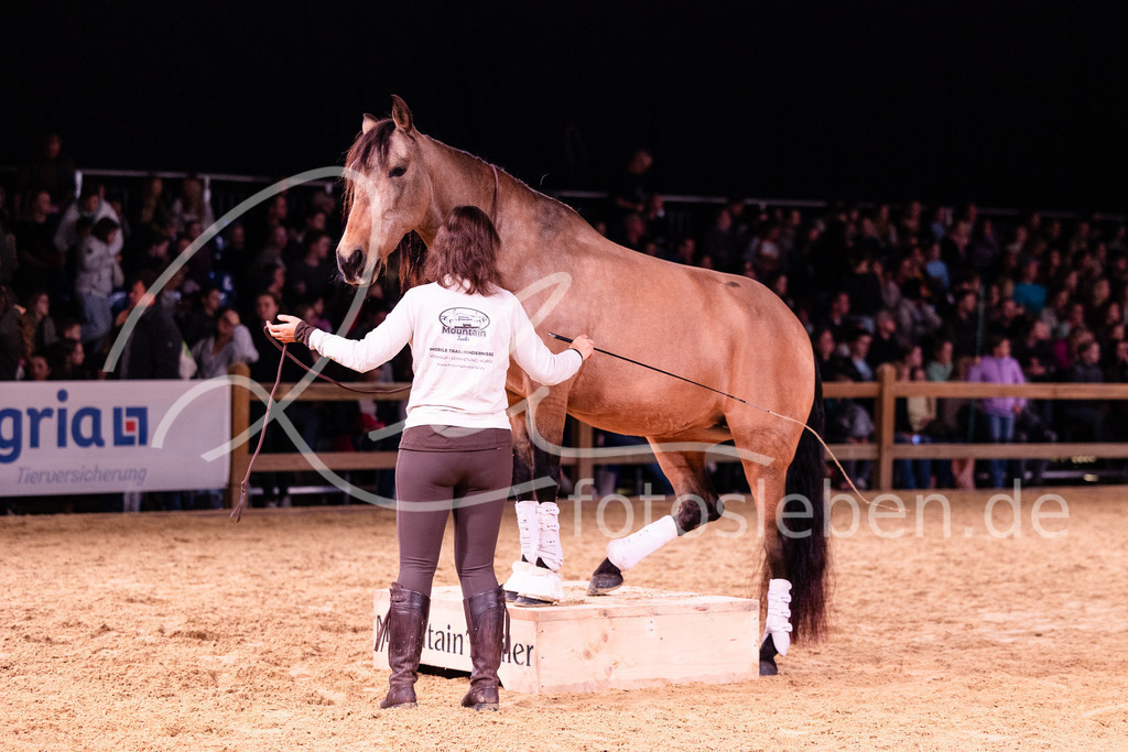 846A8911 | fotosleben - Realisiert mit Pictrs.com