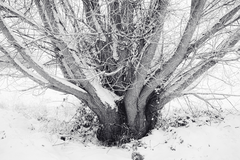 Winter in Schleswig-Holstein | Profi-Fotos über Schleswig-Holstein und dem ganzen Norden für Büro, Hotel, Ferienhaus, Ferienwohnung, Wohnzimmer, Arztpraxis uvm. jetzt bestellen. - Realisiert mit Pictrs.com