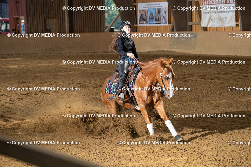 DSC00032 | dv-media-shop - Realisiert mit Pictrs.com