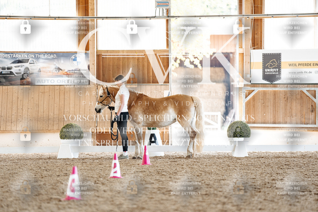CK907307 | Turnierfotografie Pferdefotografie Trier Rheinland-Pfalz Pferdesport Reitsport Tierfotografie Sportfotografie Pferdevideo Pferdevideografie Equestrianvideography equestrianphotography  - Realisiert mit Pictrs.com
