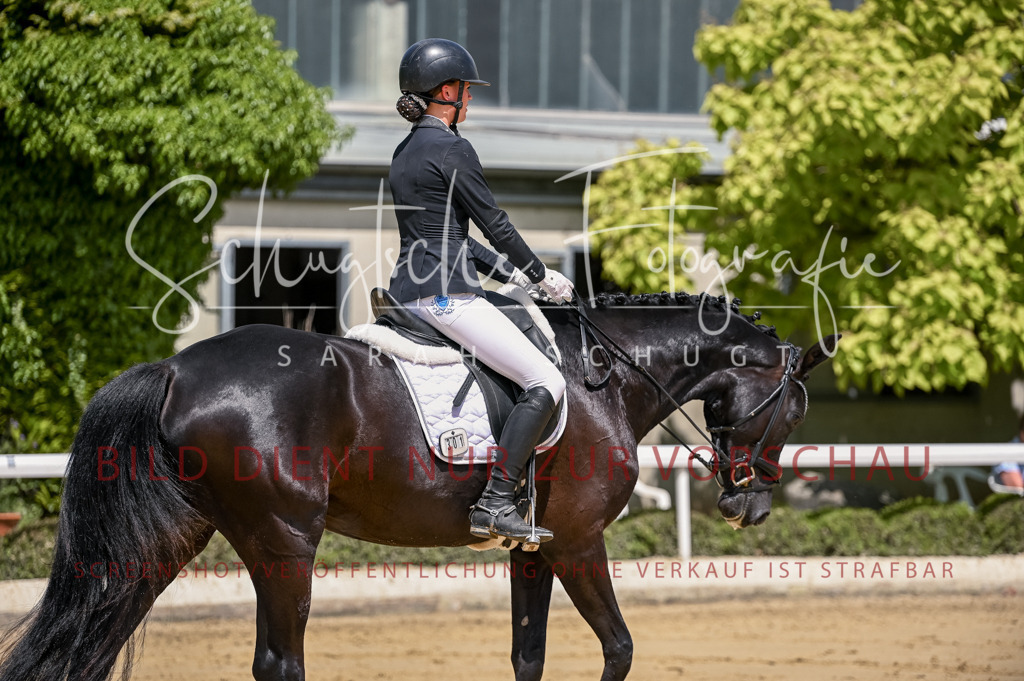 Schugtsche-Aluta25-48.Reitpferfdeprf.-199 | Schugtsche Fotografie - Realisiert mit Pictrs.com