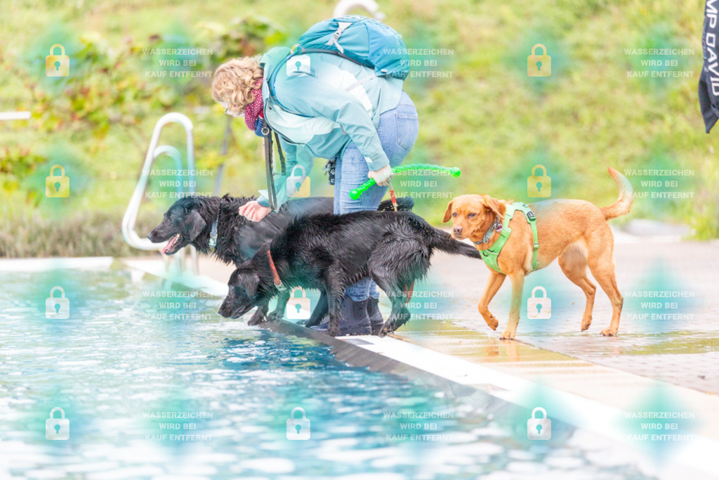 _HP_7319_1000o | HetPix, HetPix Fotodesign, Fotografie, Fotodesign, Webshop, Sportfotografie, Portraitfotografie, Onlineshop, Sportfotografie, Polch, Motorsportfotografie, Eventfotografie