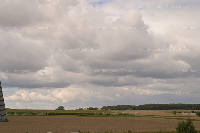 Wolken im Elm | Naturfotografie Frauke Gläser - Realisiert mit Pictrs.com