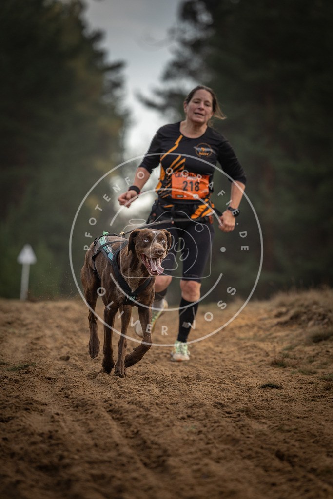 Pfotenfotografie_DV3A5327 | Hundefotografie, Tierfotograf, Pfotenfotografie, Fotoshooting Hund, Hunde Portrait, Hundesport, Hundeportraits, Heideshooting, Hunde, Sportfotograf, Hundefotograf, Turnierhundsport, THS,  - Realisiert mit Pictrs.com