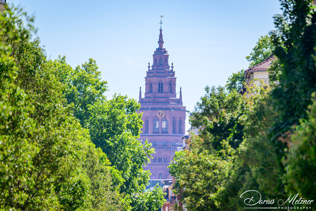 DSC_0267 | Fotografien, Fotos und Bilder aus Mainz, Frankfurt, Wiesbaden und anderen Orten auf der Welt - Fotografiert von Darius Metzner