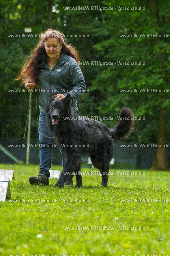 @allesWIRTHgut_Tierfotografie - www.allesWIRTHgut.de - 7R501699 | Professionelle Tierfotografie in Mönchengladbach von Daniel Wirth (allesWIRTHgut). Liebevolle & natürliche Bilder von Hunden & Katzen für unvergessliche Erinnerungen.