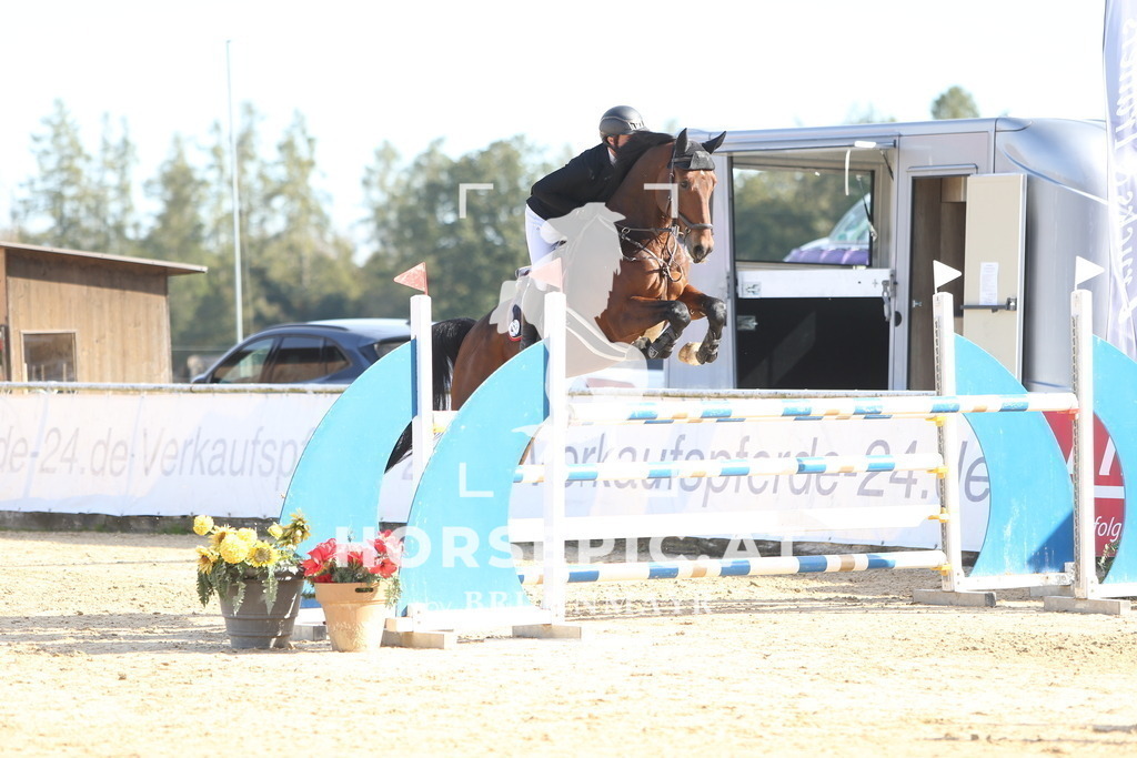 DL2Q3985 | Willkommen bei Brunnmayr - Design & Fotografie – Ihrem Spezialisten für Reitturniere und Pferdeveranstaltungen in Oberösterreich, Salzburg und Bayern! Seit über 17 Jahren sind wir leidenschaftlich dabei.