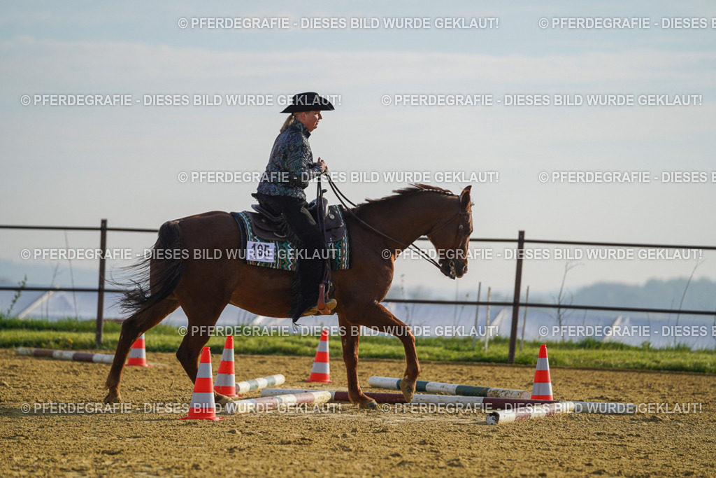 DSC00573 | Pferdegrafie