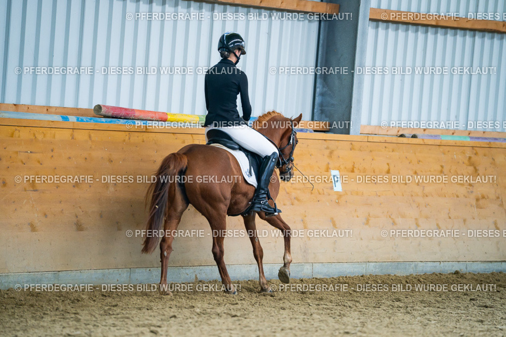 DSC05272 | Pferdegrafie