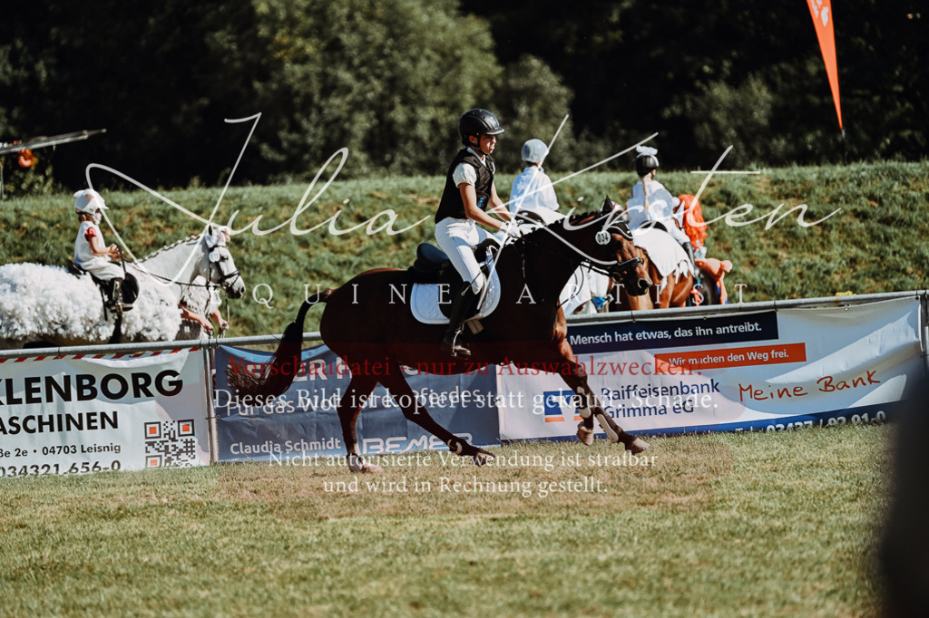 DSC_6993 | Pferde- und Turnierfotografie in Westsachsen. Pferdeportraits, Auftragszeichnungen und intuitive Kunst.