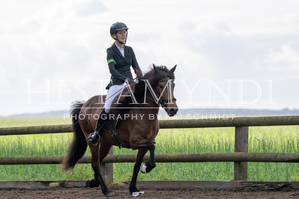 KAI03461 | Ihr sucht einen Fotografen für eure nächste OSI? Ich begleite auch euer Turnier für Islandpferde fotografisch.  - Realisiert mit Pictrs.com