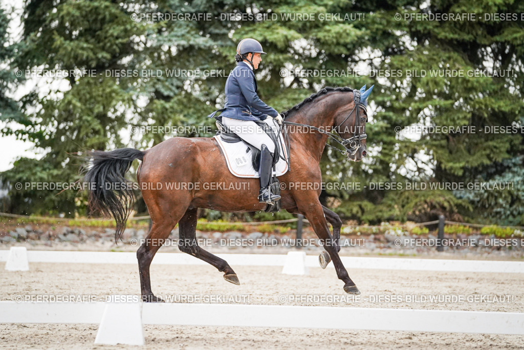 DSC09572 | Pferdegrafie