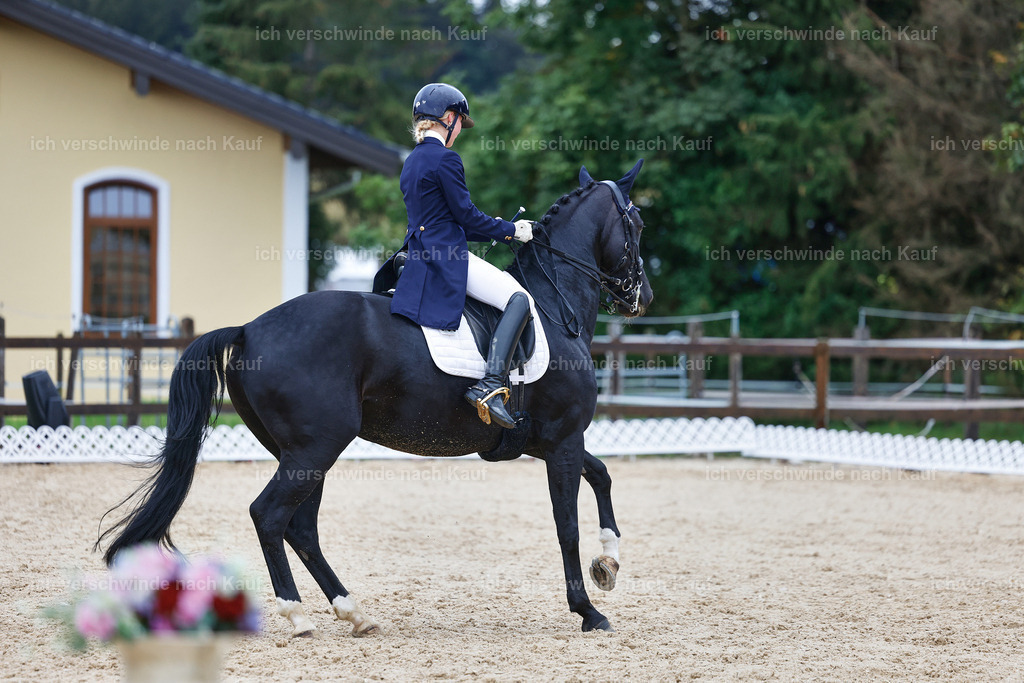 8_2-033-DRESSUR S_  -StoibPH-4405 | working equitationturnier fotograf videograf stoibphotography marixx film working equitation deutschland reitsport turnierfotografie eventfotografie equestrian events