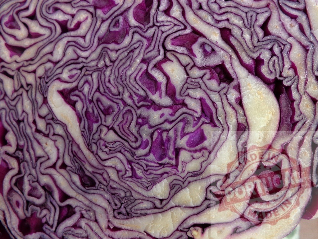 Cut red cabbage showing its concentric purple and white layers | Close-up of a cut red cabbage revealing beautiful concentric purple and white layers - Realisiert mit Pictrs.com