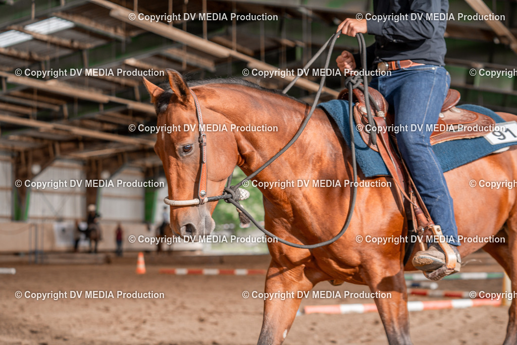 Balingen Tag 3-768 | dv-media-shop - Realisiert mit Pictrs.com