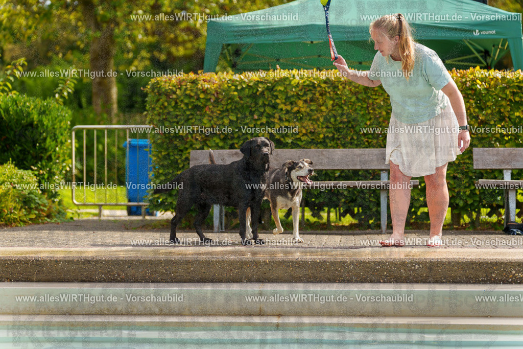 Hundeschwimmen_Grefrath_2026-allesWIRTHgut_Tierfotografie-11_21-7R503233 | Professionelle Tierfotografie in Mönchengladbach von Daniel Wirth (allesWIRTHgut). Liebevolle & natürliche Bilder von Hunden & Katzen für unvergessliche Erinnerungen.