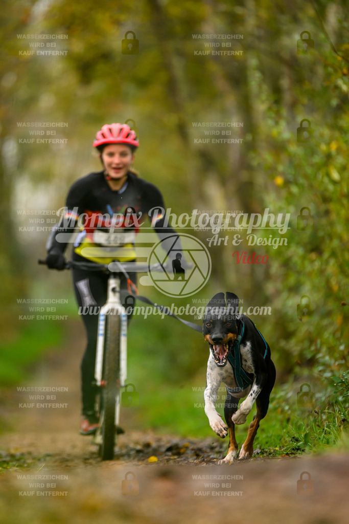MompixPhotography_20TSB_E6_DS1-63 | PayLife