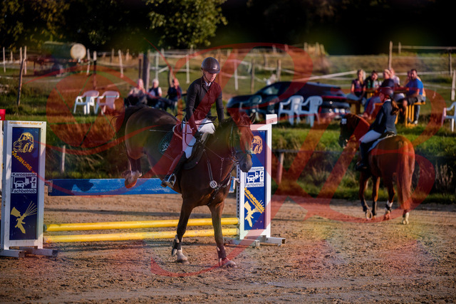 2026_10_03_Siefer-Hof_171049_Z81_07857924 | Professionelle Reitsport-, Turnier- und Eventfotografie von Robert Broda. Galerien mit ausgewählten und bearbeiteten Bildern direkt online ansehen und bestellen.