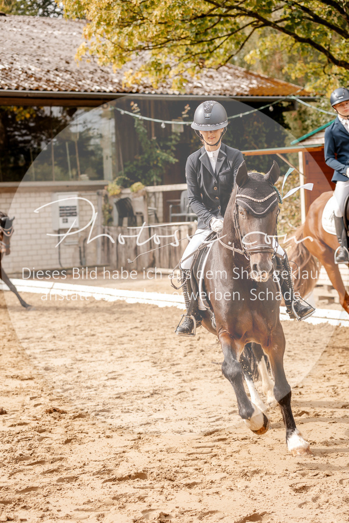 3I6A7646 | Stimmungsvolle Portraits und Reitsportfotografie im Ruhrgebiet und im Münsterland.

Pferdefotografie, Hundefotografie, Tierfotografie, Reportagen, Portraits von Tier und Mensch, Turnierfotografie in Bochum, Recklinghausen, Marl, Haltern am See, Dülmen.. - Realisiert mit Pictrs.com