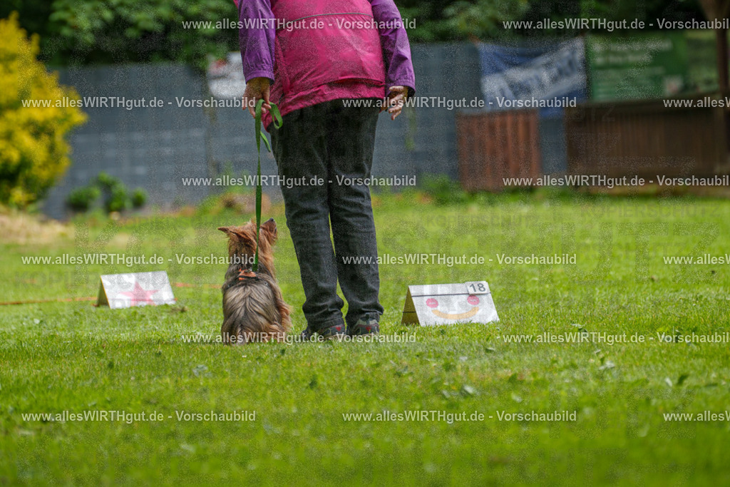@allesWIRTHgut_Tierfotografie - www.allesWIRTHgut.de - 122513-7R508981 | Professionelle Tierfotografie in Mönchengladbach von Daniel Wirth (allesWIRTHgut). Liebevolle & natürliche Bilder von Hunden & Katzen für unvergessliche Erinnerungen.
