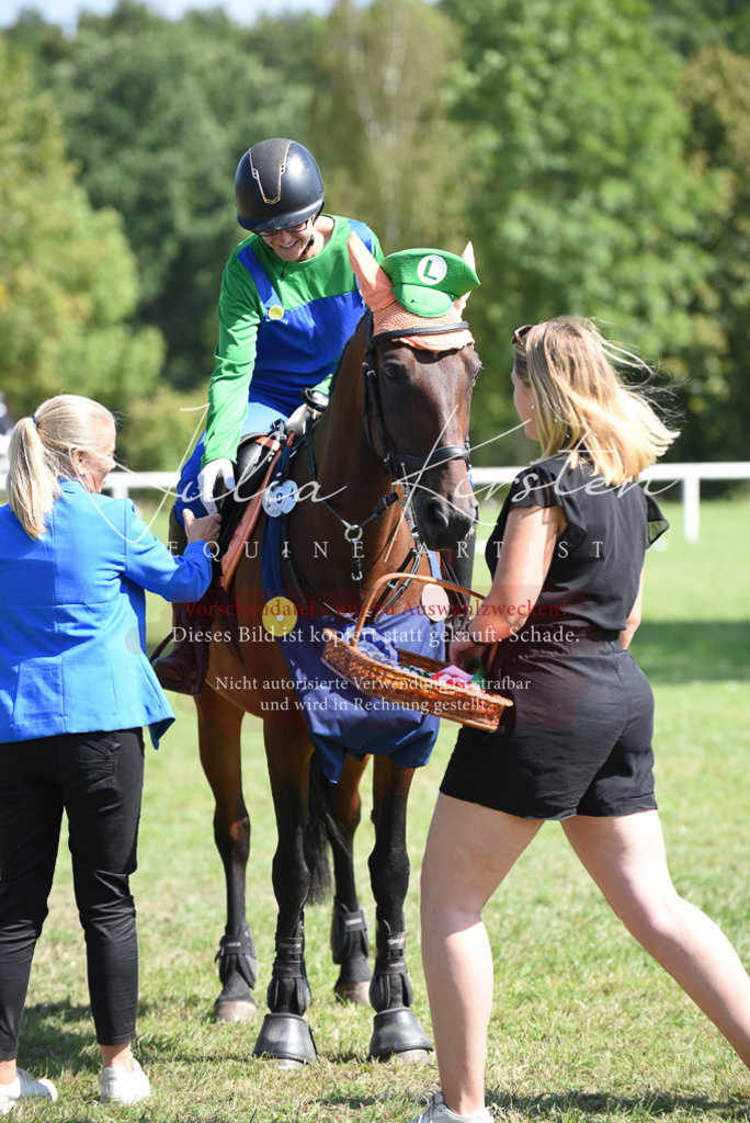 DSC_0473 | Pferde- und Turnierfotografie in Westsachsen. Pferdeportraits, Auftragszeichnungen und intuitive Kunst.