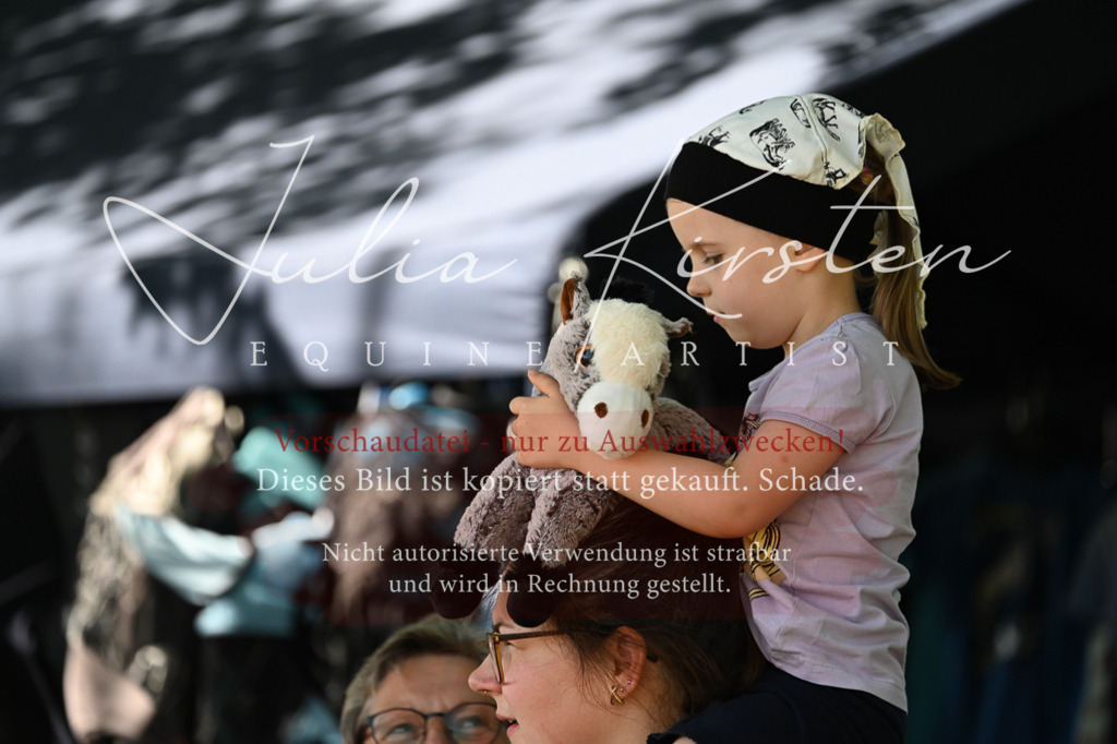 DSC_1763 | Pferde- und Turnierfotografie in Westsachsen. Pferdeportraits, Auftragszeichnungen und intuitive Kunst.