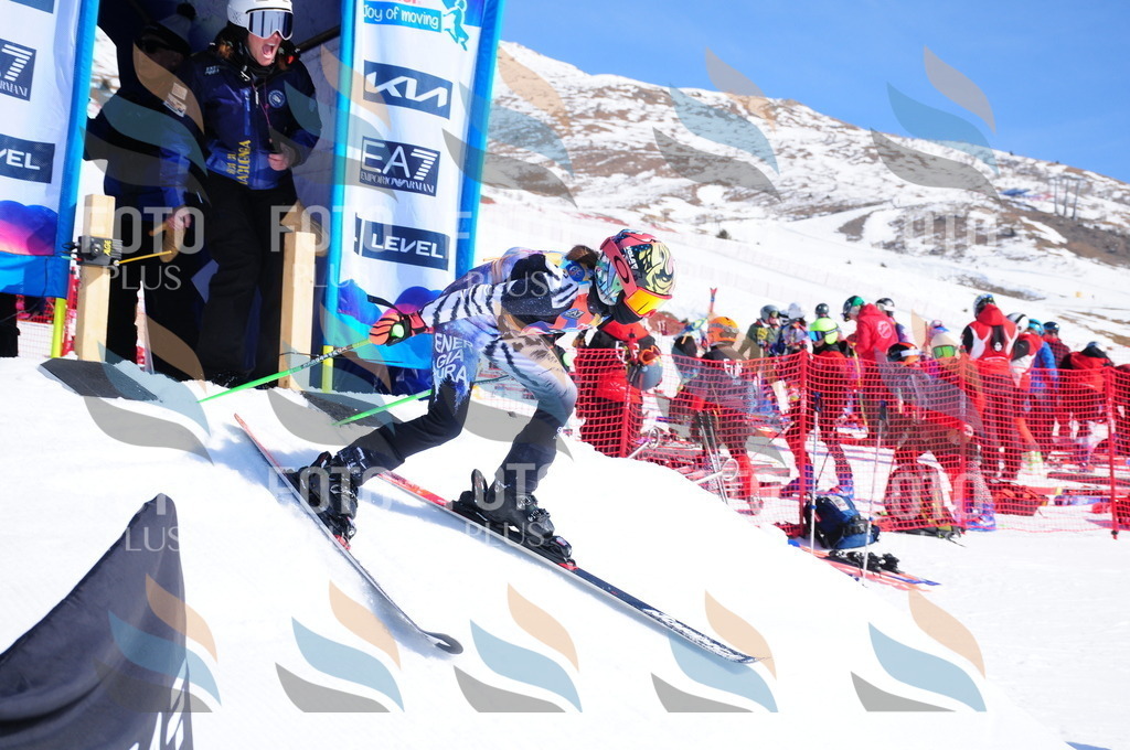 DSC_3851 | holidayphoto