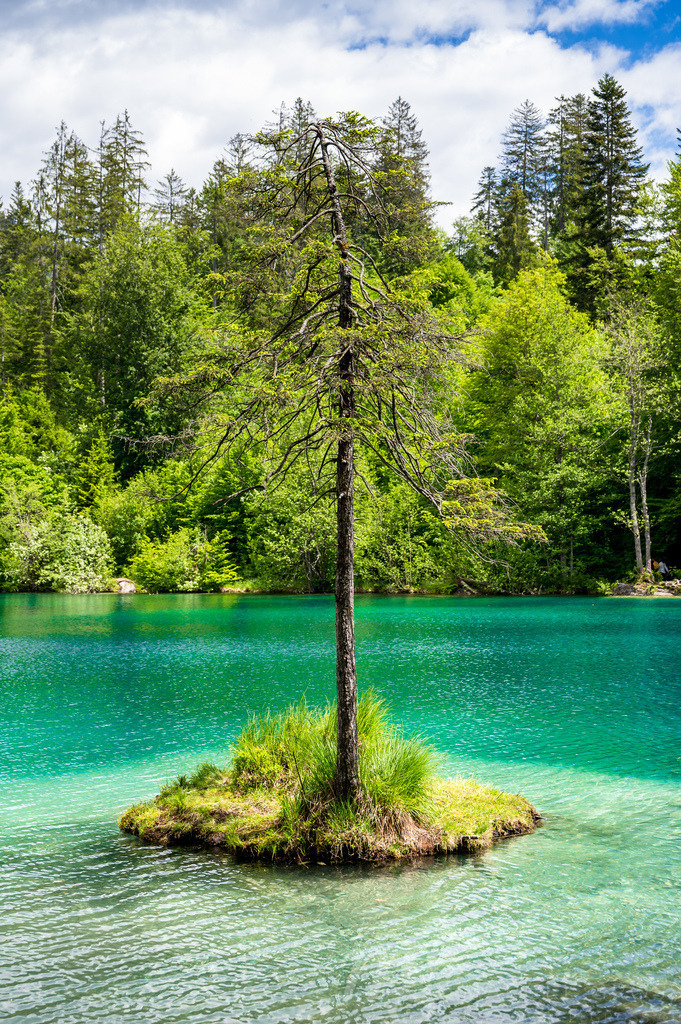 wunderschöne Insel mit Tanne in türkisfarbenem Bergsee | Die ideale Geschenkidee für Naturliebhaber. Naturbilder von Marcel Gross Photography für ihr Zuhause in den verschiedensten Formaten und Materialien. - Realisiert mit Pictrs.com