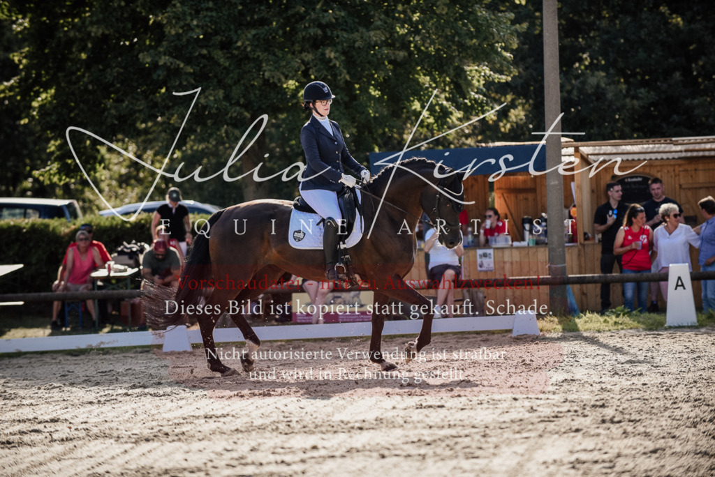 DSC_0544 | Pferde- und Turnierfotografie in Westsachsen. Pferdeportraits, Auftragszeichnungen und intuitive Kunst.