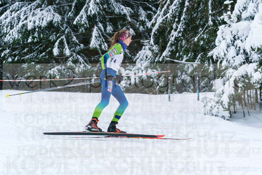 Thüringer Meisterschaften Biathlon - Scheibe-Alsbach | Scheibe-Alsbach am 28. + 29. Januar 2023
